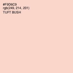 #F9D6C9 - Tuft Bush Color Image